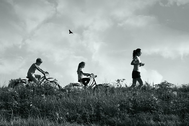The Lipno Cycling Trail: A Great Idea for a Summer Vacation